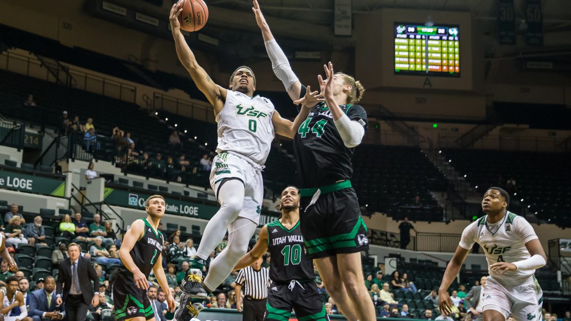 USF Bulls