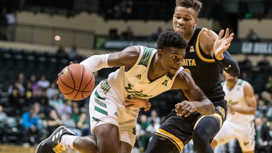 USF Bulls