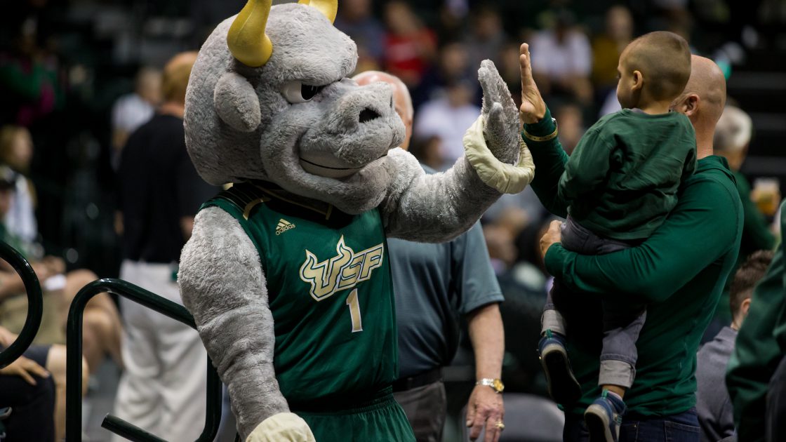 USF Bulls