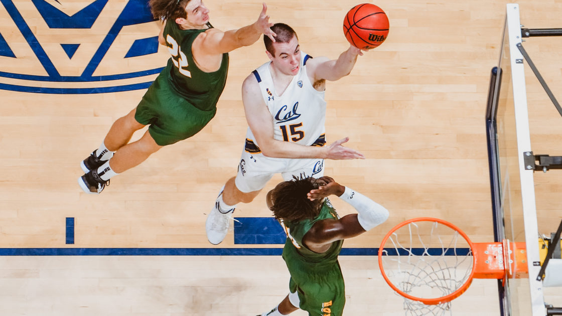 Cal Bears