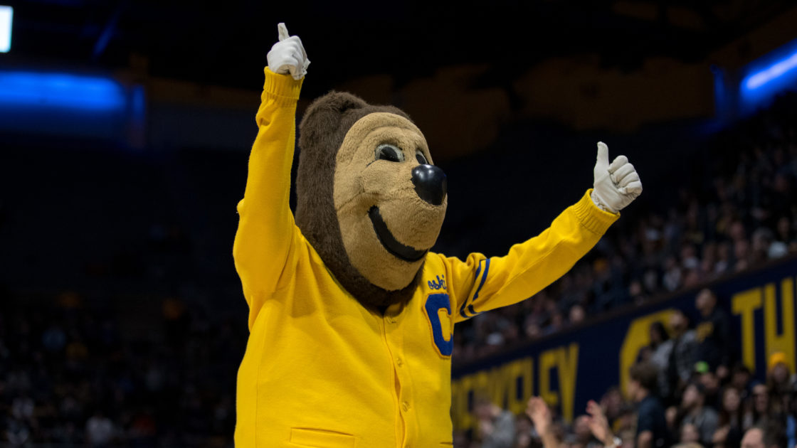 Cal Bears