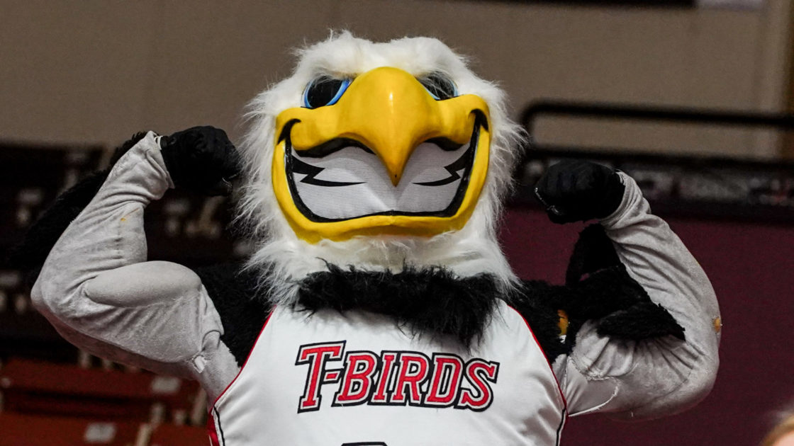 Southern Utah Thunderbirds