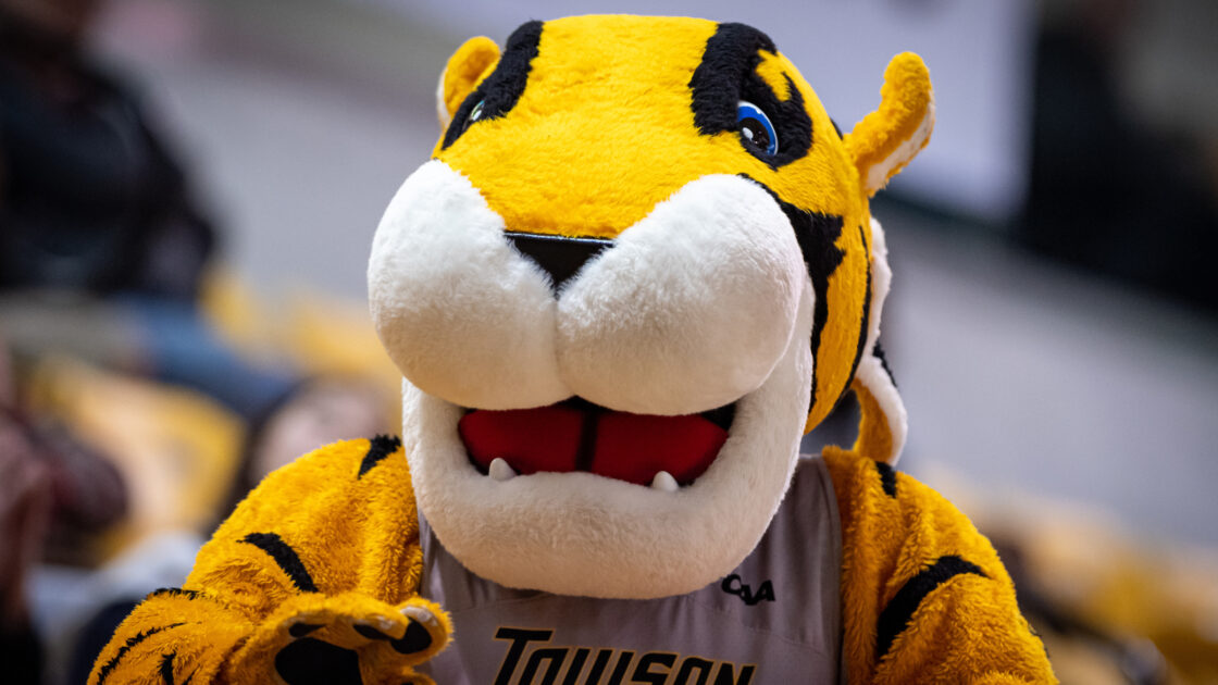 Towson Tigers