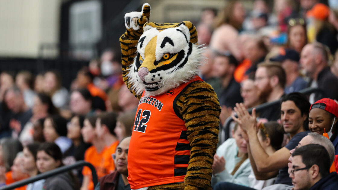 Princeton Tigers