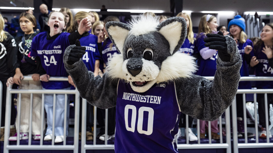 Northwestern Wildcats